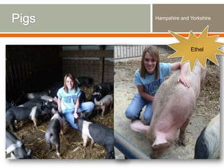 Expedition to Ethiopia