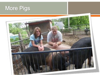 Expedition to Ethiopia