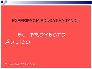 EXPERIENCIA EDUCATIVA TANDIL
EL PROYECTO
ÁULICO
BLANCA FERRONI
 