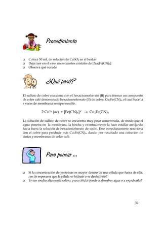 Procedimiento
Coloca 50 mL de solución de CuSO4 en el beaker
Deja caer en el vaso unos cuantos cristales de [Na4Fe(CN)6]
Observa qué sucede

¿Qué pasó?
El sulfato de cobre reacciona con el hexacioanoferrato (II) para formar un compuesto
de color café denominado hexacioanoferrato (II) de cobre, Cu2Fe(CN)6, el cual hace la
s veces de membrana semipermeable.

2 Cu2+ (ac) + [Fe(CN)6]4− → Cu2Fe(CN)6
La solución de sulfato de cobre se encuentra muy poco concentrada, de modo que el
agua penetra en la membrana, la hincha y eventualmente la hace estallar arrojando
hacia fuera la solución de hexacionoferrato de sodio. Este inmediatamente reacciona
con el cobre para producir más Cu2Fe(CN)6, dando por resultado una colección de
cintas y membranas de color café.

Para pensar ...
Si la concentración de proteínas es mayor dentro de una célula que fuera de ella,
¿es de esperarse que la célula se hidrate o se deshidrate?
En un medio altamente salino, ¿una célula tiende a absorber agua o a expulsarla?

39

 