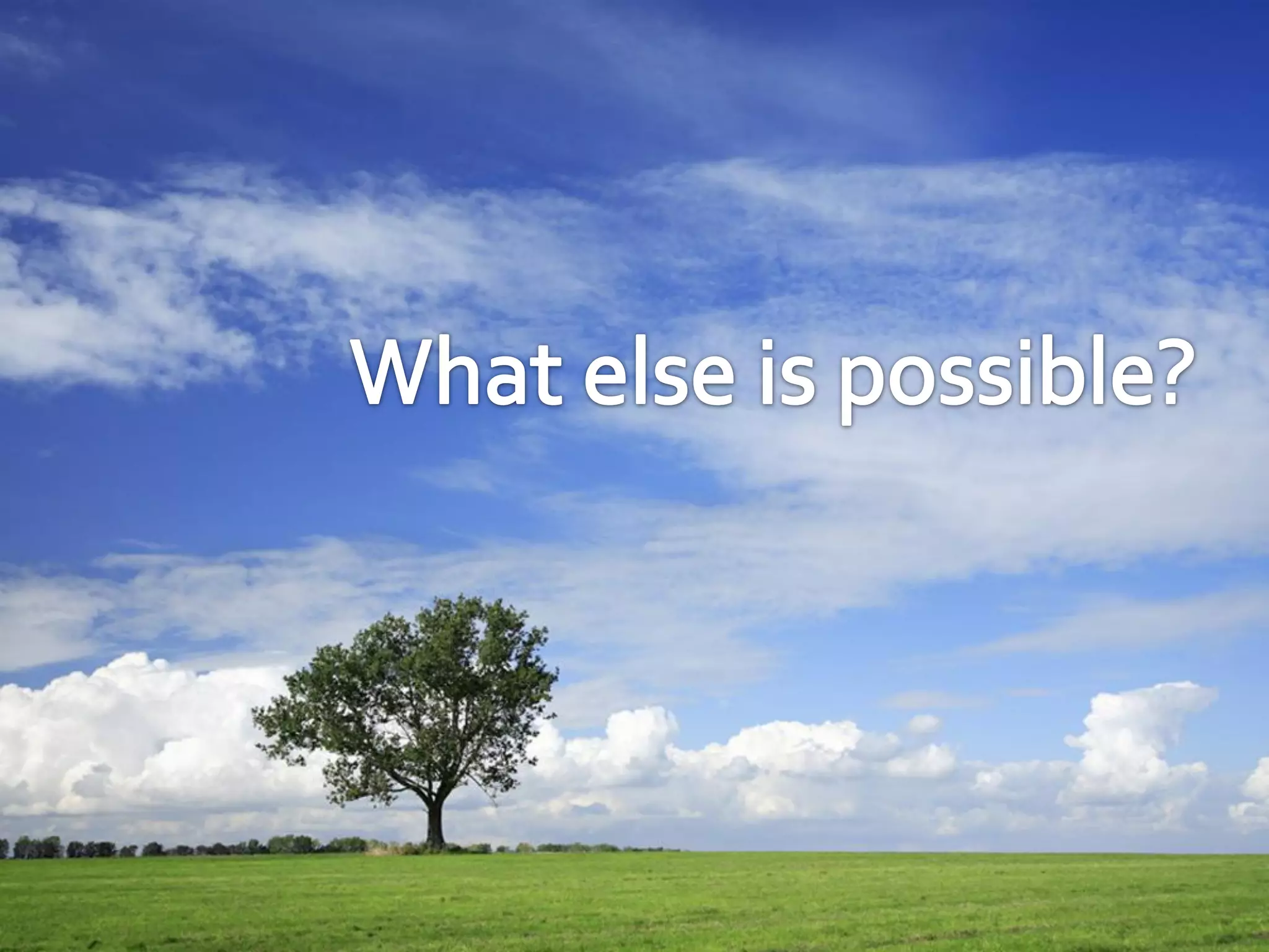 VisibleGovernment.ca Expense Visualizer Pilot - Montreal on Rails