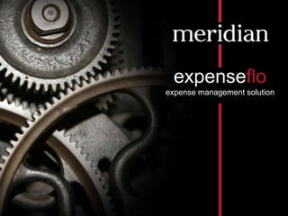 10/7/2013 0
expenseflo
expense management solution
 