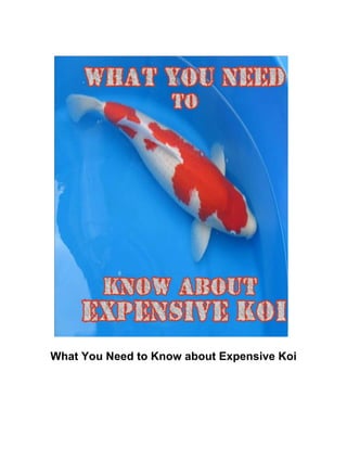What You Need to Know about Expensive Koi 