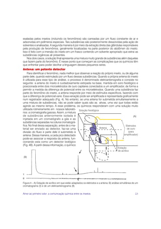 exaladas pelos insetos (incluindo os feromônios) são carreadas por um fluxo constante de ar e
adsorvidas em polímeros especiais. Tais substâncias são posteriormente dessorvidas pela ação de
solventes e analisadas. A segunda maneira é por meio da extração direta das glândulas responsáveis
pela produção de feromônios, geralmente localizadas na parte posterior do abdômen do inseto.
Isso é feito com a imersão do inseto em um frasco contendo um solvente apropriado que extrai as
substâncias orgânicas ali presentes.
   Nos dois casos, a solução final apresenta uma mistura muito grande de substâncias além daquelas
que fazem parte do feromônio. É nesse ponto que começam as complicações que os químicos têm
que enfrentar para poder decifrar a linguagem desses pequenos seres.
Antena: um potente detector
     Para identificar o feromônio, nada melhor que observar a reação do próprio inseto, ou de alguma
parte dele, quando estimulado por um fluxo dessas substâncias. Quando a própria antena do inseto
é utilizada para esse tipo de análise, o processo é denominado eletroantenografia e consiste no
seguinte: a antena do inseto é cuidadosamente extirpada na base, mantida em soro fisiológico e
posicionada entre dois microeletrodos de ouro capilares conectados a um amplificador, de forma a
permitir a medida da diferença de potencial entre os microeletrodos. Quando uma substância faz
parte do feromônio do inseto, a antena responde por meio de estímulos específicos, fazendo com
que a diferença de potencial varie. Essa variação pode ser amplificada e representada graficamente
num registrador adequado (Fig. 4). No entanto, se uma antena for submetida simultaneamente a
uma mistura de substâncias, não se pode saber quais são as ativas, uma vez que todas estão
agindo ao mesmo tempo. A esse problema, os químicos responderam com uma solução muito
utilizada rotineiramente em nossos laborató- Solução fisiológica
rios: a cromatografia gasosa. Assim, a mistura
de substâncias anteriormente isolada é                                                            (A)
injetada em um cromatógrafo a gás e as
substâncias separadas na coluna cromatográ-
fica. No final dessa separação, antes de o ma-                                             Eletrodos
terial ser enviado ao detector, faz-se uma                         Antena                   de ouro
divisão do fluxo e parte dele é submetido à                                                  (para
antena. Dessa maneira, a cada pico detectado                                             amplificador)
pode-se associar a resposta da antena, fun-
cionando esta como um detector biológico
(Fig. 4B). A partir dessa informação, o químico
                                                                                          Estação
                                                                                          de acrílico

(B)




Figura 4 – A) Estação de acrílico em que estão adaptados os eletrodos e a antena; B) análise simultânea de um
cromatograma (I) e de um eletroantenograma (II).


Amor ao primeiro odor: a comunicação química entre os insetos                                             23
 
