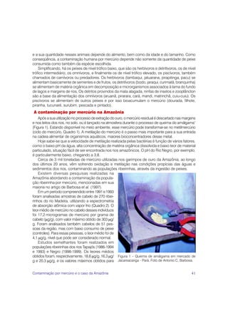 e a sua quantidade nesses animais depende do alimento, bem como da idade e do tamanho. Como
conseqüência, a contaminação humana por mercúrio depende não somente da quantidade de peixe
consumida como também da espécie escolhida.
    Simplificando, há os peixes de nível trófico baixo, que são os herbívoros e detritívoros, os de nível
trófico intermediário, os omnívoros, e finalmente os de nível trófico elevado, os piscívoros, também
chamados de carnívoros ou predadores. Os herbívoros (tambaqui, jatuarana, pirapitinga, pacu) se
alimentam basicamente de sementes e de frutos, os detritívoros (bodo, jaraqui, curimatã, branquinha)
se alimentam de matéria orgânica em decomposição e microrganismos associados à lama do fundo
de lagos e margens de rios. Os detritos provindos da mata alagada, ninfas de insetos e zooplâncton
são a base da alimentação dos omnívoros (aruanã, pirarara, cará, mandi, matrinchã, cuiu-cuiu). Os
piscívoros se alimentam de outros peixes e por isso bioacumulam o mercúrio (dourada, filhote,
piranha, tucunaré, surubim, pescada e pintado).
A contaminação por mercúrio na Amazônia
    Após a sua utilização no processo de extração do ouro, o mercúrio residual é descartado nas margens
e nos leitos dos rios, no solo, ou é lançado na atmosfera durante o processo de queima do amálgama1
(Figura 1). Estando disponível no meio ambiente, esse mercúrio pode transformar-se no metilmercúrio
(ciclo do mercúrio, Quadro 1). A metilação do mercúrio é o passo mais importante para a sua entrada
na cadeia alimentar de organismos aquáticos, maiores bioconcentradores desse metal.
    Hoje sabe-se que a velocidade de metilação realizada pelas bactérias é função de vários fatores,
como o baixo pH da água, alta concentração de matéria orgânica dissolvida e baixo teor de material
particulado, situação fácil de ser encontrada nos rios amazônicos. O pH do Rio Negro, por exemplo,
é particularmente baixo, chegando a 3,8.
    Cerca de 3 mil toneladas de mercúrio utilizadas nos garimpos de ouro da Amazônia, ao longo
dos últimos 20 anos, vêm sofrendo oxidação e metilação nas condições propícias das águas e
sedimentos dos rios, contaminando as populações ribeirinhas, através da ingestão de peixes.
    Existem diversas pesquisas realizadas na
Amazônia abordando a contaminação da popula-
ção ribeirinha por mercúrio, mencionadas em sua
maioria no artigo de Barbosa et al. (1997).
    Em um período compreendido entre 1991 e 1993
foram analisadas amostras de cabelo de 270 ribei-
rinhos do rio Madeira, utilizando a espectrometria
de absorção atômica com vapor frio (Quadro 2). O
teor médio de mercúrio no cabelo desses indivíduos
foi 17,2 microgramas de mercúrio por grama de
cabelo (μg/g), com valor máximo obtido de 303 μg/
g. Foram analisados também cabelos de 51 pes-
soas da região, mas com baixo consumo de peixe
(controles). Para essas pessoas, o teor médio foi de
4,1 μg/g, nível que pode ser considerado normal.
    Estudos semelhantes foram realizados em
populações ribeirinhas dos rios Tapajós (1986-1994
e 1993) e Negro (1998-1999). Os teores médios
obtidos foram, respectivamente, 18,6 μg/g, 16,3 μg/ Figura 1 – Queima de amálgama em mercado de
g e 20,3 μg/g, e os valores máximos obtidos para Jacareacanga - Pará. Foto de Antonio C. Barbosa.


Contaminação por mercúrio e o caso da Amazônia                                                        41
 