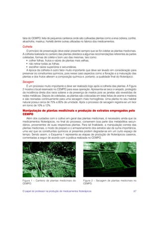 tária do CEMPO, feita de pequenos canteiros onde são cultivadas plantas como a erva cidreira, confrei,
alcachofra, mastruz, hortelã dentre outras utilizadas no fabrico dos medicamentos.
Colheita
   O princípio de preservação deve estar presente sempre que se for coletar as plantas medicinais.
A colheita realizada no canteiro das plantas obedece a algumas recomendações referentes às partes
coletadas, formas de coleta e bom uso das mesmas, tais como:
   • colher folhas, frutos e raízes de plantas mais velhas;
   • não retirar todas as folhas;
   • escolher raízes superiores e secundárias.
   A época da colheita é outro fator muito importante que deve ser levado em consideração para
preservar os constituintes químicos, pois nesse caso aspectos como a floração e a maturação das
plantas e dos frutos alteram a composição química e, portanto, a qualidade final do fitoterápico.
Secagem
   É um processo muito importante e deve ser realizado logo após a colheita das plantas. A Figura
2 mostra o local reservado no CEMPO para essa operação. Apresenta-se seco e arejado, protegido
da incidência direta dos raios solares e da presença de insetos pois as janelas são revestidas de
redes metálicas. Depois de coletadas, as plantas são colocadas em telas feitas de arame e madeira
e são reviradas continuamente para uma secagem mais homogênea. Uma planta no seu habitat
natural possui cerca de 75% a 85% de umidade. Após o processo de secagem registra-se um teor
em torno de 10% a 12%.
Manipulação de plantas medicinais e produção de extratos empregados pelo
CEMPO
   Além dos cuidados com o cultivo em geral das plantas medicinais, é necessário ainda que os
medicamentos fitoterápicos, no final do processo, conservem boa parte dos metabólitos secun-
dários, provenientes de suas respectivas plantas. Para tal finalidade, a manipulação correta das
plantas medicinais, o modo de preparo e o armazenamento dos extratos são de suma importância,
uma vez que os constituintes químicos aí presentes podem degradar-se em um curto espaço de
tempo. Sendo assim, o Esquema 1 representa as etapas de produção de fitoterápicos caseiros,
comentadas a seguir de acordo com a prática realizada no CEMPO.




Figura 1 – Canteiro de plantas medicinais do          Figura 2 – Secagem de plantas medicinais no
CEMPO.                                                CEMPO.


O papel do professor na produção de medicamentos fitoterápicos                                     87
 