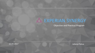 EXPERIAN SYNERGY
Objective and Practical Program
Juliana Pádua10.04.2017
 