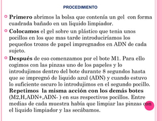  Primero abrimos la bolsa que contenía un gel con forma
cuadrada bañado en un liquido limpiador.
 Colocamos el gel sobre un plástico que tenia unos
pocillos en los que mas tarde introduciríamos los
pequeños trozos de papel impregnados en ADN de cada
sujeto.
 Después de eso comenzamos por el bote M1. Para ello
cogimos con las pinzas uno de los papeles y lo
introdujimos dentro del bote durante 8 segundos hasta
que se impregnó de liquido azul (ADN) y cuando estuvo
lo suficiente oscuro lo introdujimos en el segundo pocillo.
Repetimos la misma acción con los demás botes
(M2,H,ADN+,ADN- ) en sus respectivos pocillos. Entre
medias de cada muestra había que limpiar las pinzas con
el liquido limpiador y las secábamos.
PROCEDIMIENTO
 