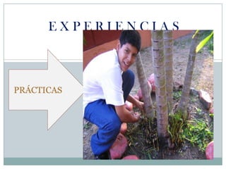 E X P E R I E N C I A SPRÁCTICAS