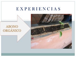 E X P E R I E N C I A SABONO ORGÁNICO