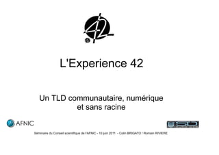 L'Experience 42

   Un TLD communautaire, numérique
            et sans racine


Séminaire du Conseil scientifique de l'AFNIC - 10 juin 2011 - Colin BRIGATO / Romain RIVIERE
 