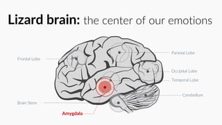 Frontal Lobe
Parietal Lobe
Occipital Lobe
Cerebellum
Temporal Lobe
Brain Stem
Amygdala
Lizard brain: the center of our emotions
 