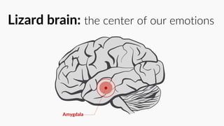Amygdala
Lizard brain: the center of our emotions
 