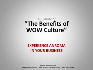 A Glimpse of “The Benefits of WOW Culture” EXPERIENCE ANROMA IN YOUR BUSINESS Benefits of WOW Culture www.WOW-Culture.com      www.facebook.com/wowculture     Tweet @anromaway   