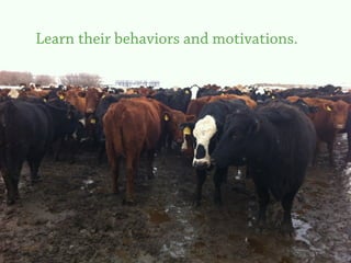Learn their behaviors and motivations.




                                         11
 