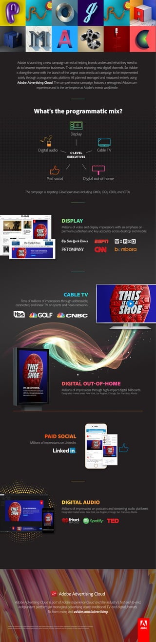 Adobe Experience Business Infographic
