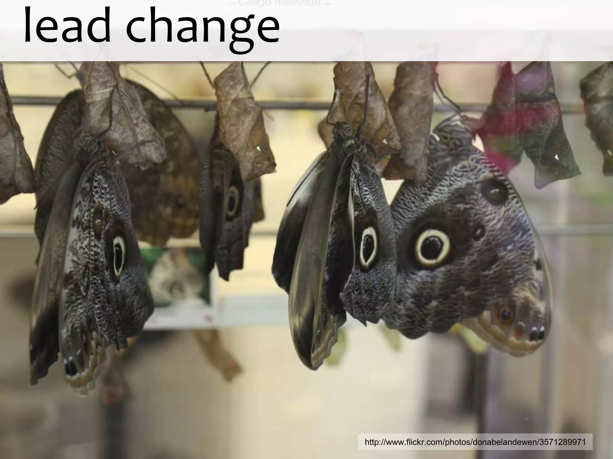 lead change




              http://www.flickr.com/photos/donabelandewen/3571289971
 