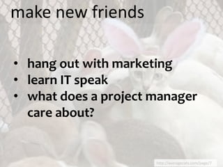 make new friends

• hang out with marketing
• learn IT speak
• what does a project manager
  care about?


                      http://averagecats.com/page/7
 
