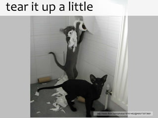 tear it up a little




                      http://www.flickr.com/photos/18161462@N00/73573681
 