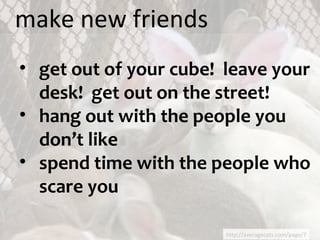 http://averagecats.com/page/7 make new friends get out of your cube!  leave your desk!  get out on the street! hang out with the people you don’t like spend time with the people who scare you 
