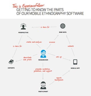 ExperienceFellow infographic: these are the parts of the feedback software