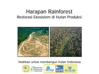 Harapan Rainforest
Restorasi Ekosistem di Hutan Produksi




Dedikasi untuk membangun hutan Indonesia
 