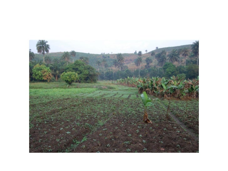 West African Cultural Arts Institute's "Experience Guinea"