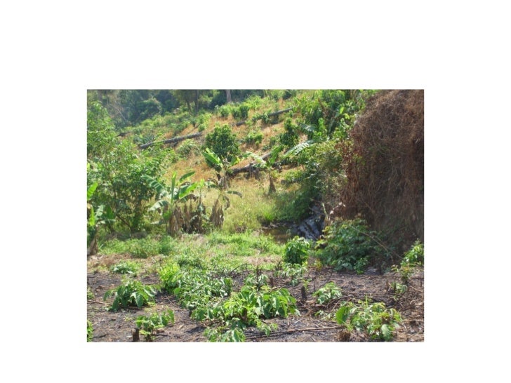 West African Cultural Arts Institute's "Experience Guinea"