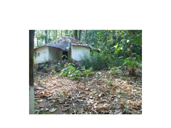 West African Cultural Arts Institute's "Experience Guinea"