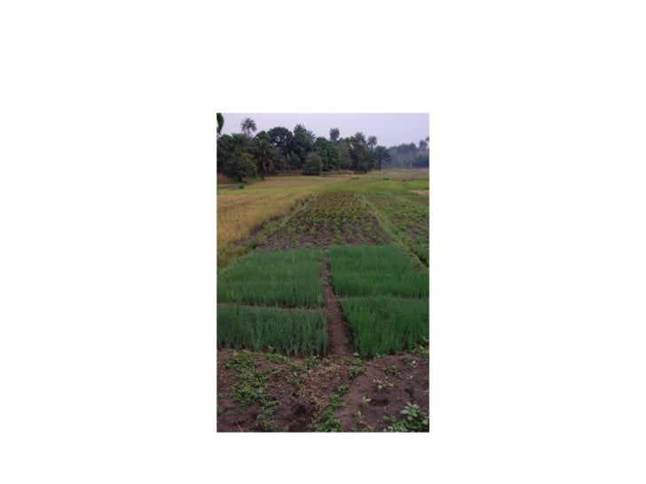 West African Cultural Arts Institute's "Experience Guinea"