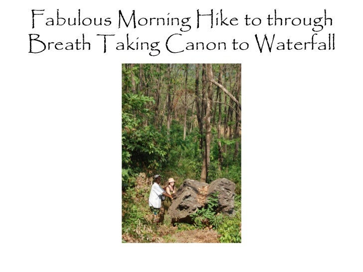 West African Cultural Arts Institute's "Experience Guinea"