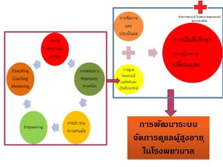 Experience of nursing practice roles of apn | PDF