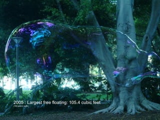 2005 : Largest free floating: 105.4 cubic feet (788 gallons water) 