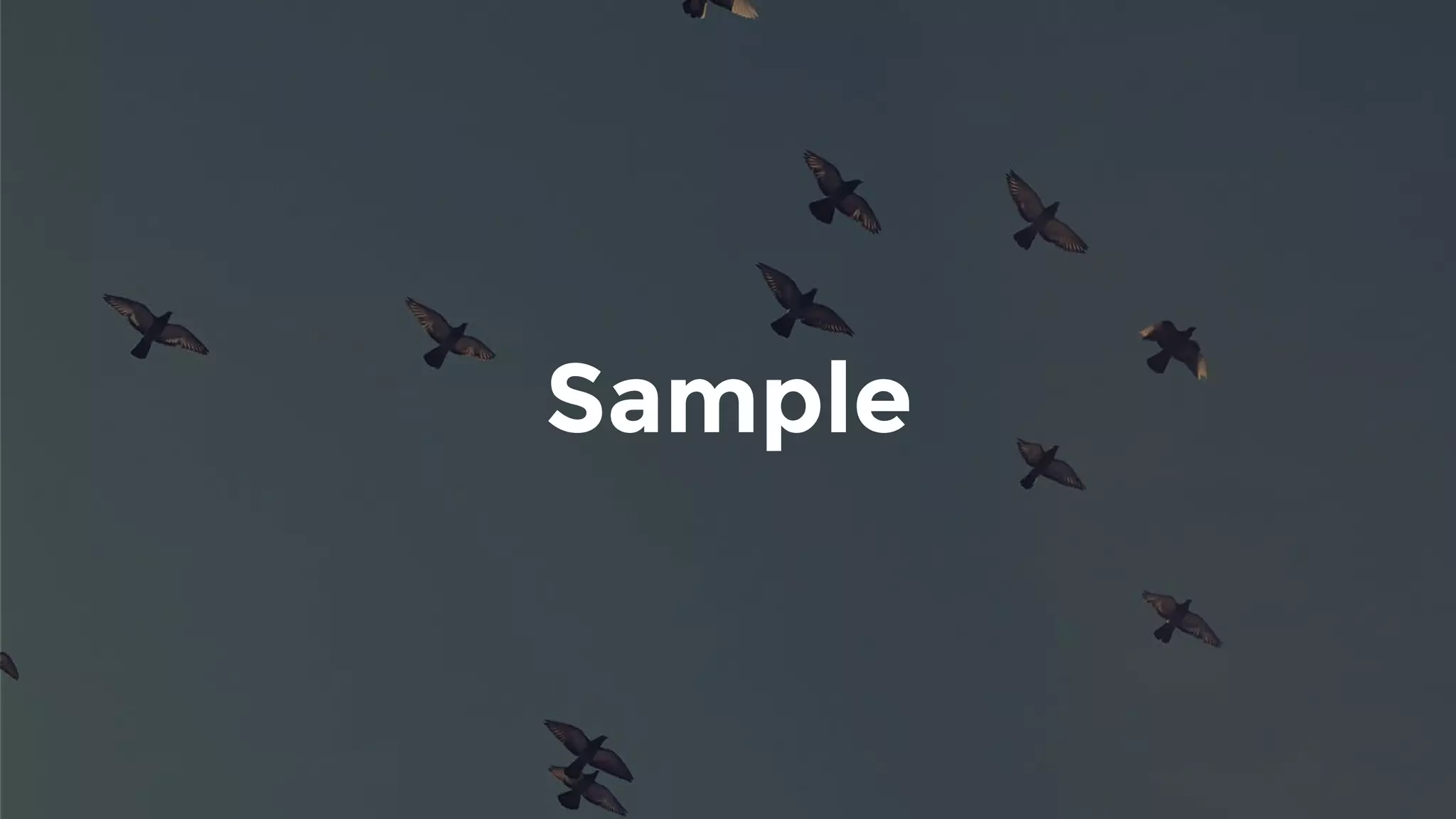 Sample
 
