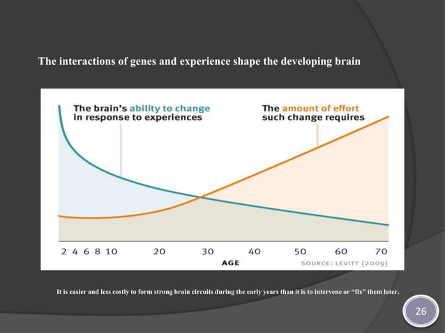Experiences Build Brain Architecture In Child Ppt