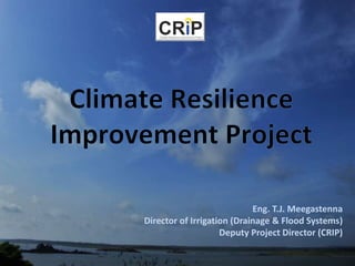 Eng. T.J. Meegastenna
Director of Irrigation (Drainage & Flood Systems)
Deputy Project Director (CRIP)
 