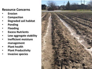 Resource Concerns
• Erosion
• Compaction
• Degraded soil habitat
• Ponding
• Flooding
• Excess Nutrients
• Low aggregate stability
• Inefficient moisture
management
• Plant health
• Plant Productivity
• Invasive species
 