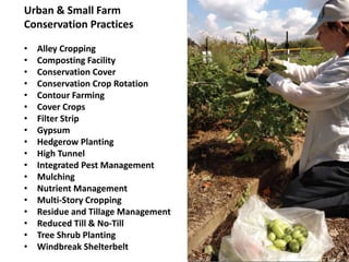 Urban & Small Farm
Conservation Practices
• Alley Cropping
• Composting Facility
• Conservation Cover
• Conservation Crop Rotation
• Contour Farming
• Cover Crops
• Filter Strip
• Gypsum
• Hedgerow Planting
• High Tunnel
• Integrated Pest Management
• Mulching
• Nutrient Management
• Multi-Story Cropping
• Residue and Tillage Management
• Reduced Till & No-Till
• Tree Shrub Planting
• Windbreak Shelterbelt
 