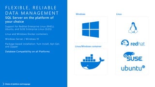 F L E X I B L E , R E L I A B L E
D ATA M A N A G E M E N T
SQL Server on the platform of
your choice
Support for RedHat Enterprise Linux (RHEL),
Ubuntu, and SUSE Enterprise Linux (SLES)
Linux and Windows Docker containers
Windows Server / Windows 10
Package-based installation: Yum Install, Apt-Get,
and Zypper
Database Compatibility on all Platforms
Choice of platform and language
 