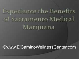 Experience the Benefits of Sacramento Medical Marijuana ©www.ElCaminoWellnessCenter.com 