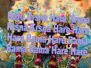 Experience the Educator 2