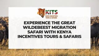 EXPERIENCE THE GREAT
WILDEBEEST MIGRATION
SAFARI WITH KENYA
INCENTIVES TOURS & SAFARIS
 