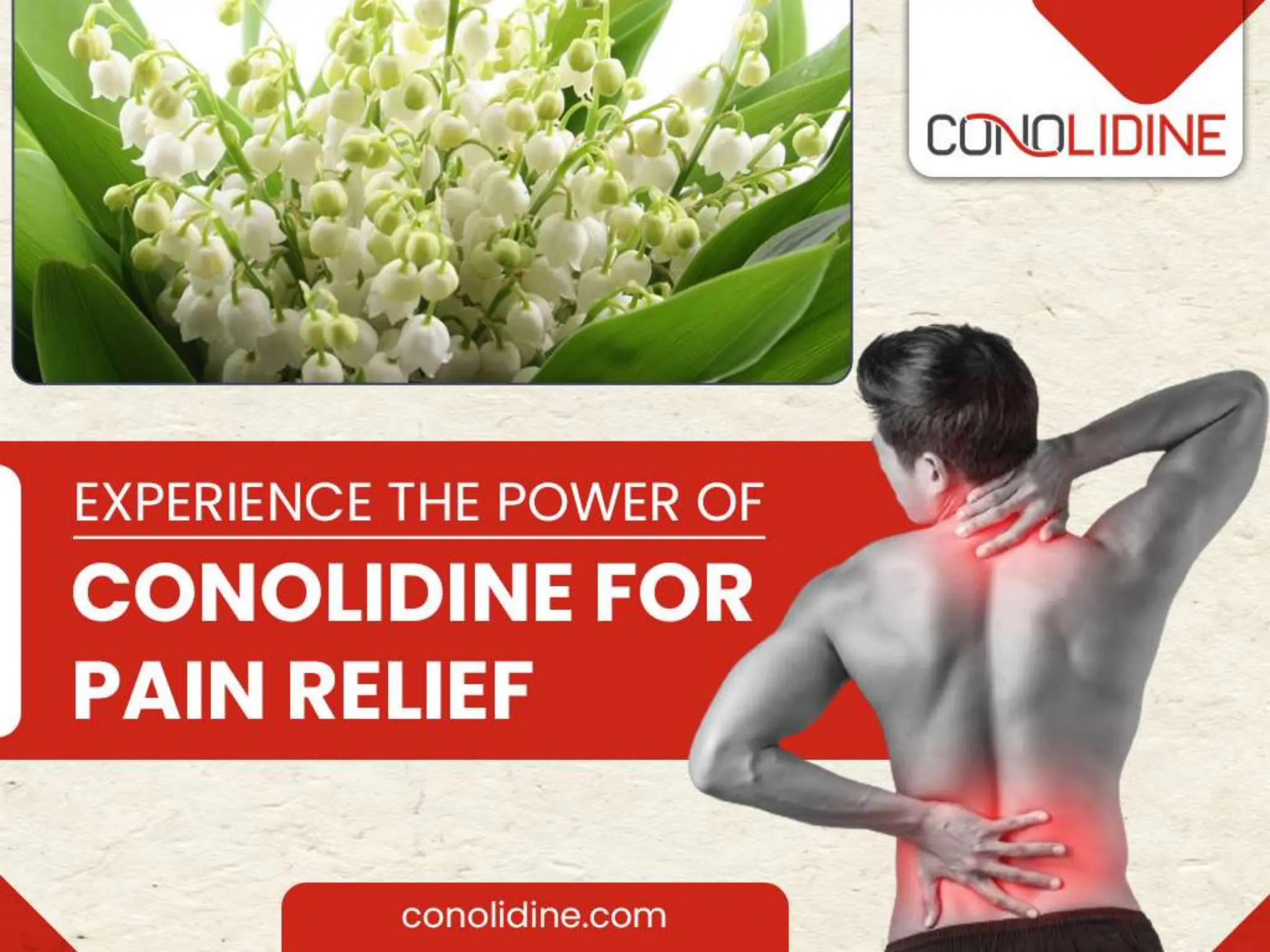 Experience The Power of Conolidine for Pain Relief.