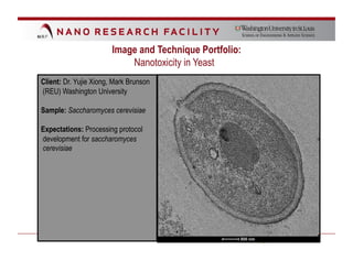Image and Technique Portfolio:
                            Nanotoxicity in Yeast
Client: Dr. Yujie Xiong, Mark Brunson
(REU) Washington University

Sample: Saccharomyces cerevisiae

Expectations: Processing protocol
development for saccharomyces
cerevisiae
 