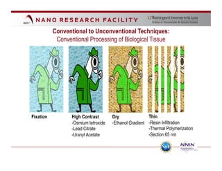 Conventional to Unconventional Techniques:
            Conventional Processing of Biological Tissue




Fixation          High Contrast       Dry               Thin
                  -Osmium tetroxide   -Ethanol Gradient -Resin Infiltration
                  -Lead Citrate                         -Thermal Polymerization
                  -Uranyl Acetate                       -Section 65 nm
 