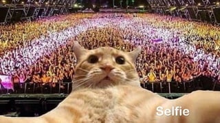Selfie
 