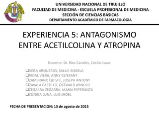 EXPERIENCIA 5: ANTAGONISMO
ENTRE ACETILCOLINA Y ATROPINA
VEGA ARQUEROS, SALLIE ANGELA
VIDAL VIERA, ANNY ESTEFANY
ZAMBRANO QUISPE, JOSEPH ANTONY
ZAVALA CASTILLO, OSTWALD ARNOLD
ZEGARRA ZEGARRA, MARIA ESPERANZA
ZÚÑIGA LUNA, LUIS JHOEL
UNIVERSIDAD NACIONAL DE TRUJILLO
FACULTAD DE MEDICINA - ESCUELA PROFESIONAL DE MEDICINA
SECCIÓN DE CIENCIAS BÁSICAS
DEPARTAMENTO ACADÉMICO DE FARMACOLOGÍA
Docente: Dr. Ríos Canales, Cecilio Isaac
FECHA DE PRESENTACION: 13 de agosto de 2015
 