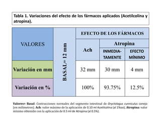 Bascal Conejo ANTAGONISMO ENTRE ACETILCOLINA Y ATROPINA | PDF