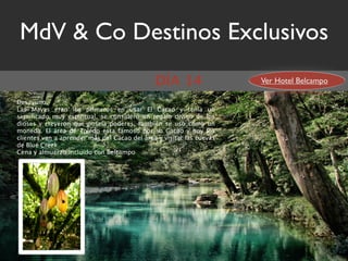 MdV & Co Destinos Exclusivos
                                              DÍA 14                  Ver Hotel Belcampo

Desayuno.
Las Mayas eran los primeros en usar El Cacao y tenía un
signiﬁcado muy espiritual, se considero un regalo divino de los
dioses y creyeron que poseía poderes, también se uso como un
moneda. El área de Toledo esta famoso por su Cacao y hoy los
clientes van a aprender más del Cacao del área y visitar las cuevas
de Blue Creek.
Cena y almuerzo incluido con Belcampo
 