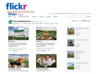 Experiencia del Centro Internacional de Agricultura Tropical (CIAT) en la comunicación pública de la ciencia a través de la web 2.0